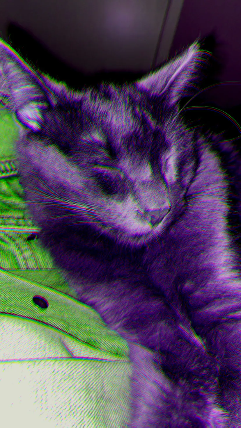 Bayes optimal classifier regions and k-NN decision boundaries in high dimensions