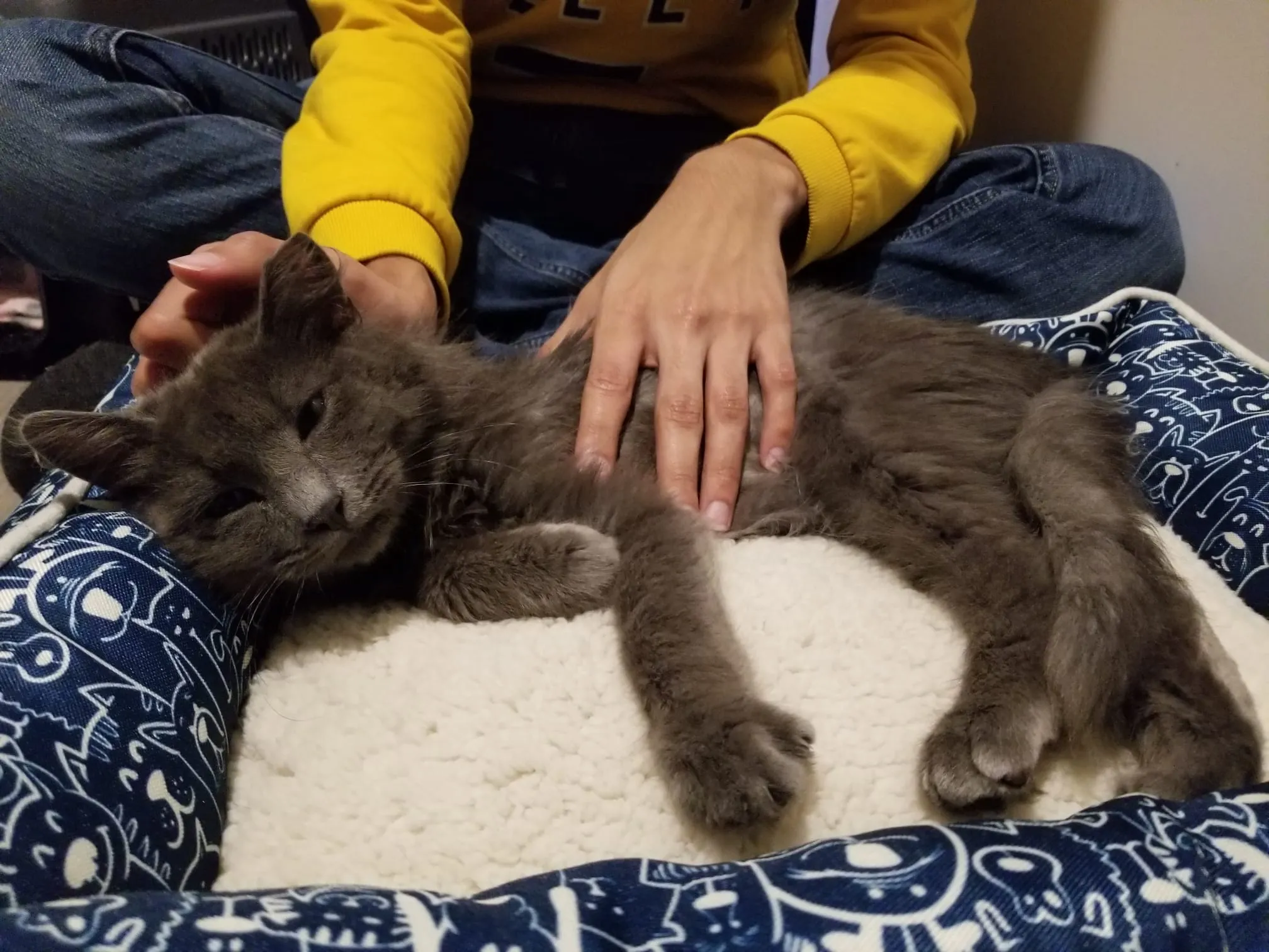 Fisher LDA projection and VC generalization bound curves