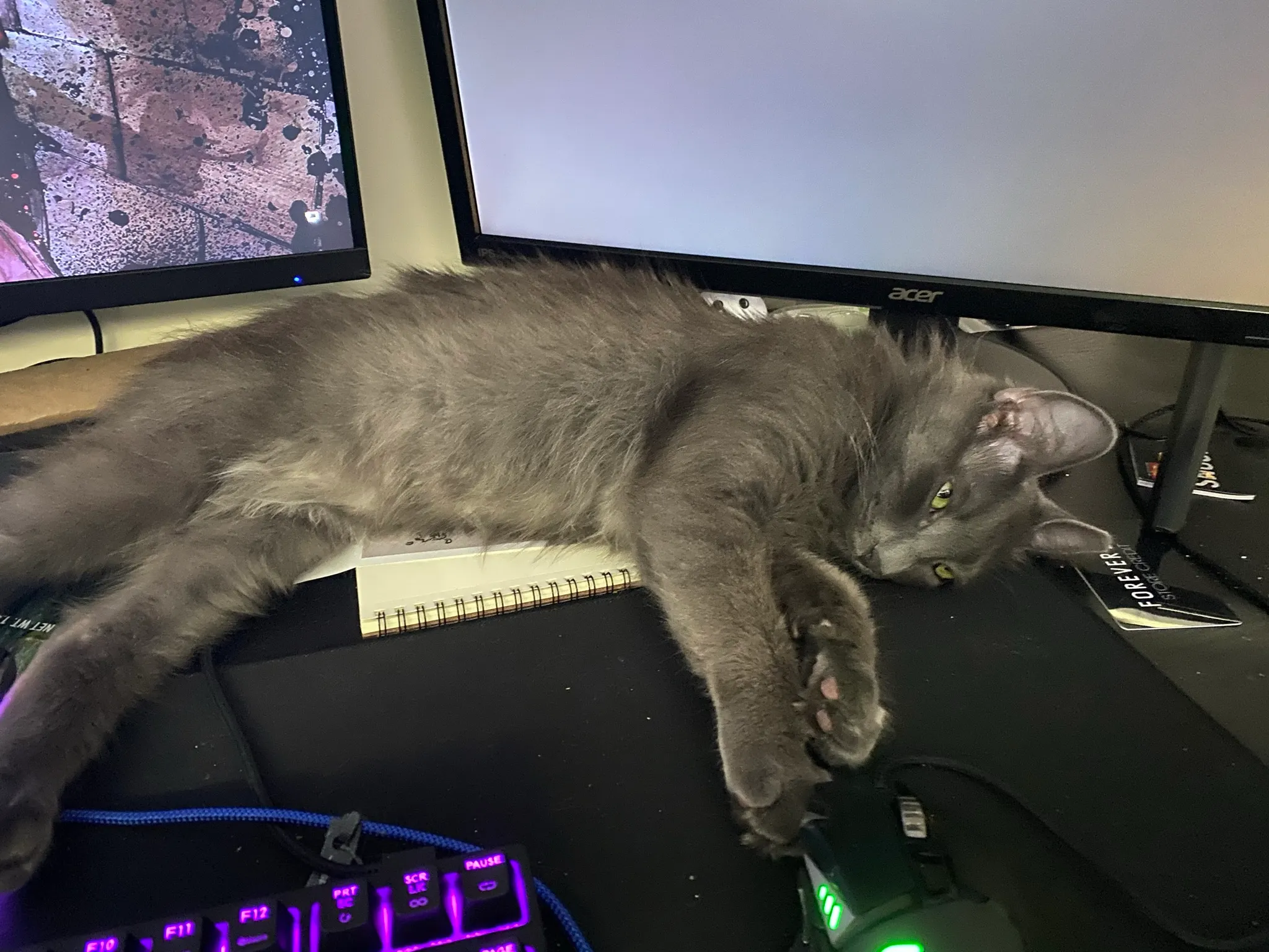 Word2Vec embedding space with skip-gram and CBOW training visualization