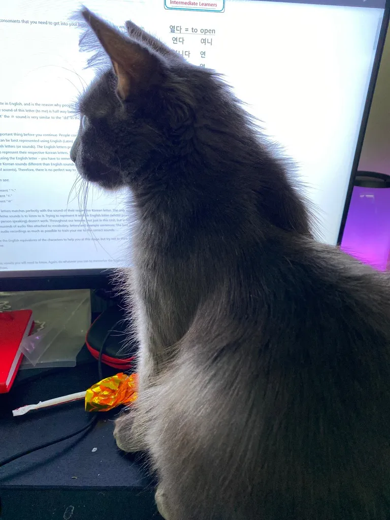 Hidden Markov Model trellis for part-of-speech tagging with Viterbi path